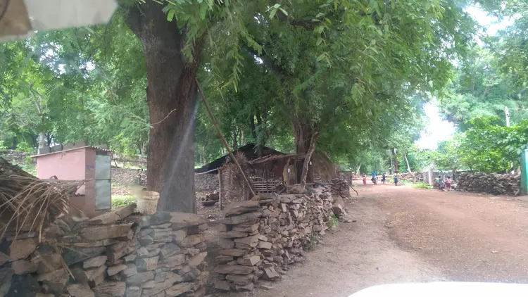 गांव जातो बाट - Way to village